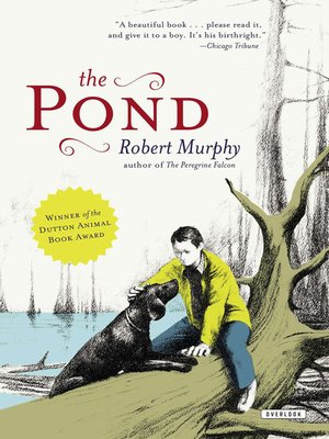cover image of The Pond